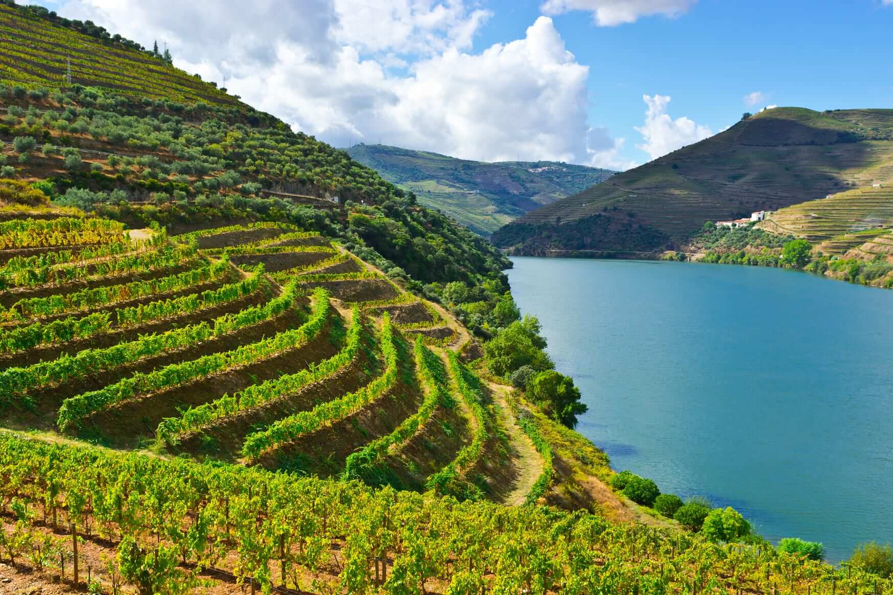 Vinho Verde - Re-visiting Portugal’s most famous white wine region