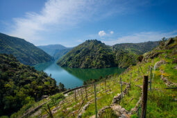 Ribeira Sacra