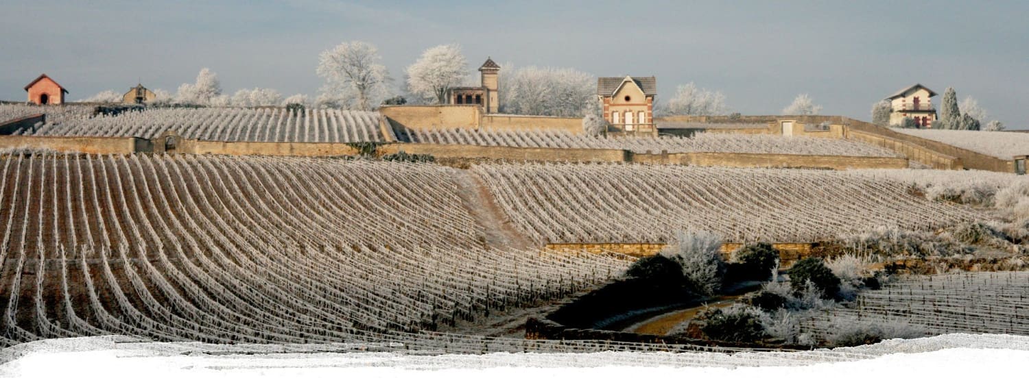 Domaine Pierre Morey