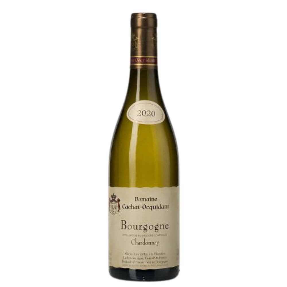 Domaine Cachat- Ocquidant, Bourgogne Chardonnay 2020