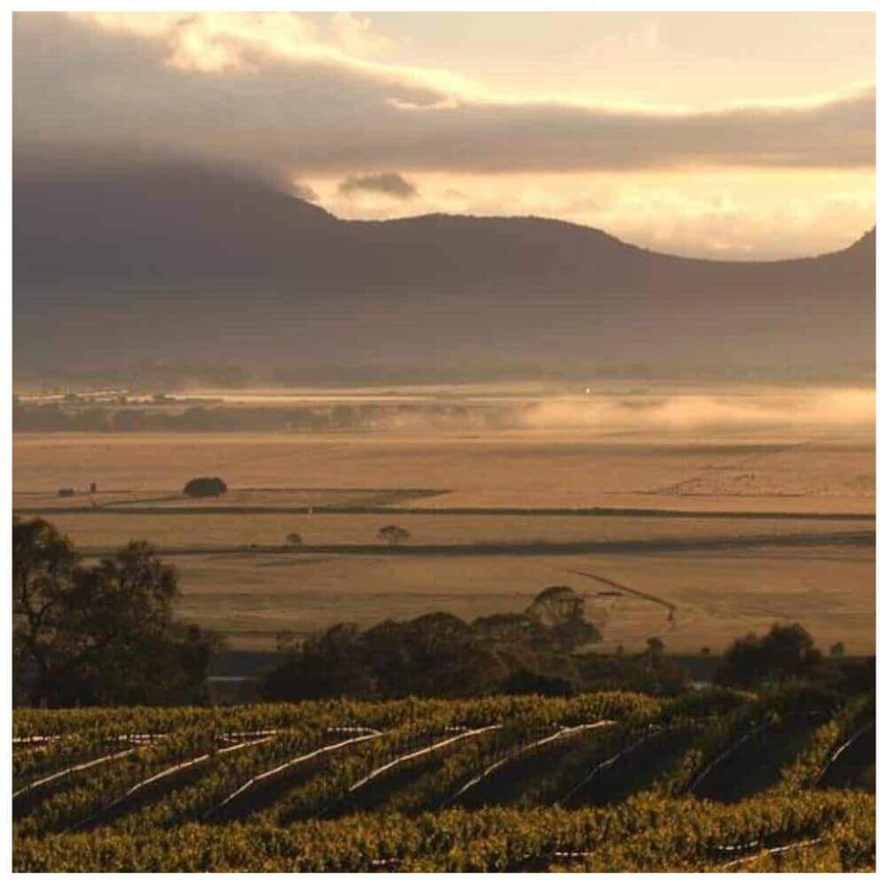 Great Stories from Down Under: The Wines of Victoria – Richmond Thursday 21st November