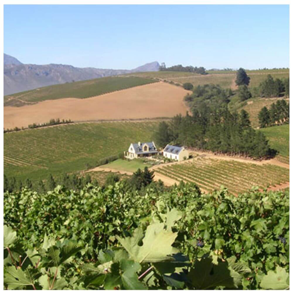 Great Wine Stories - South Africa – St Margarets Thursday 24th October