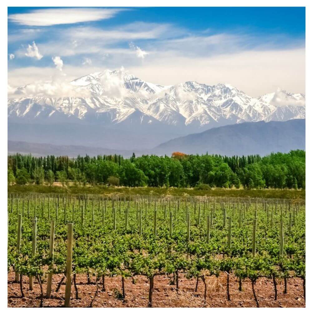 Peak Performance Wines - Why Altitude Matters - Teddington Wednesday 23rd April