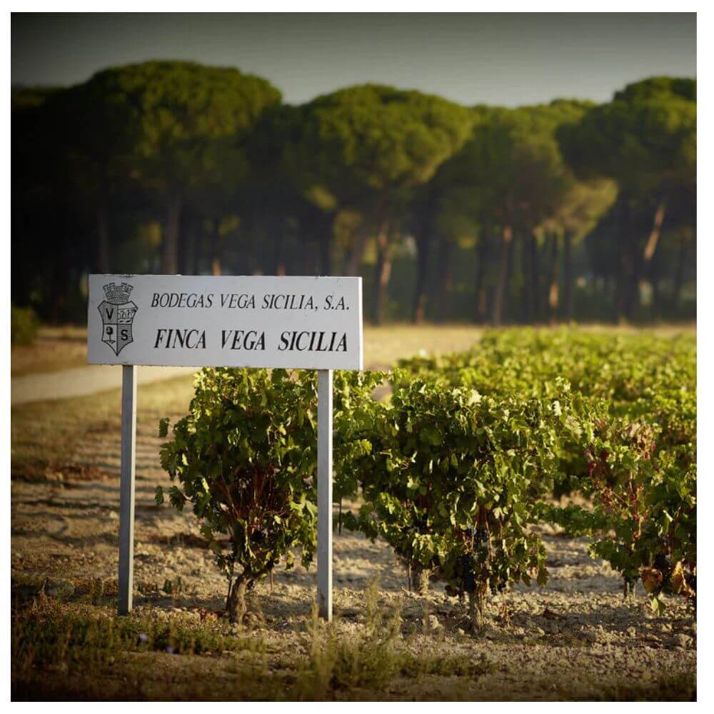 Ribera del Duero: Vega Sicilia and Beyond – Richmond Thursday 3rd April