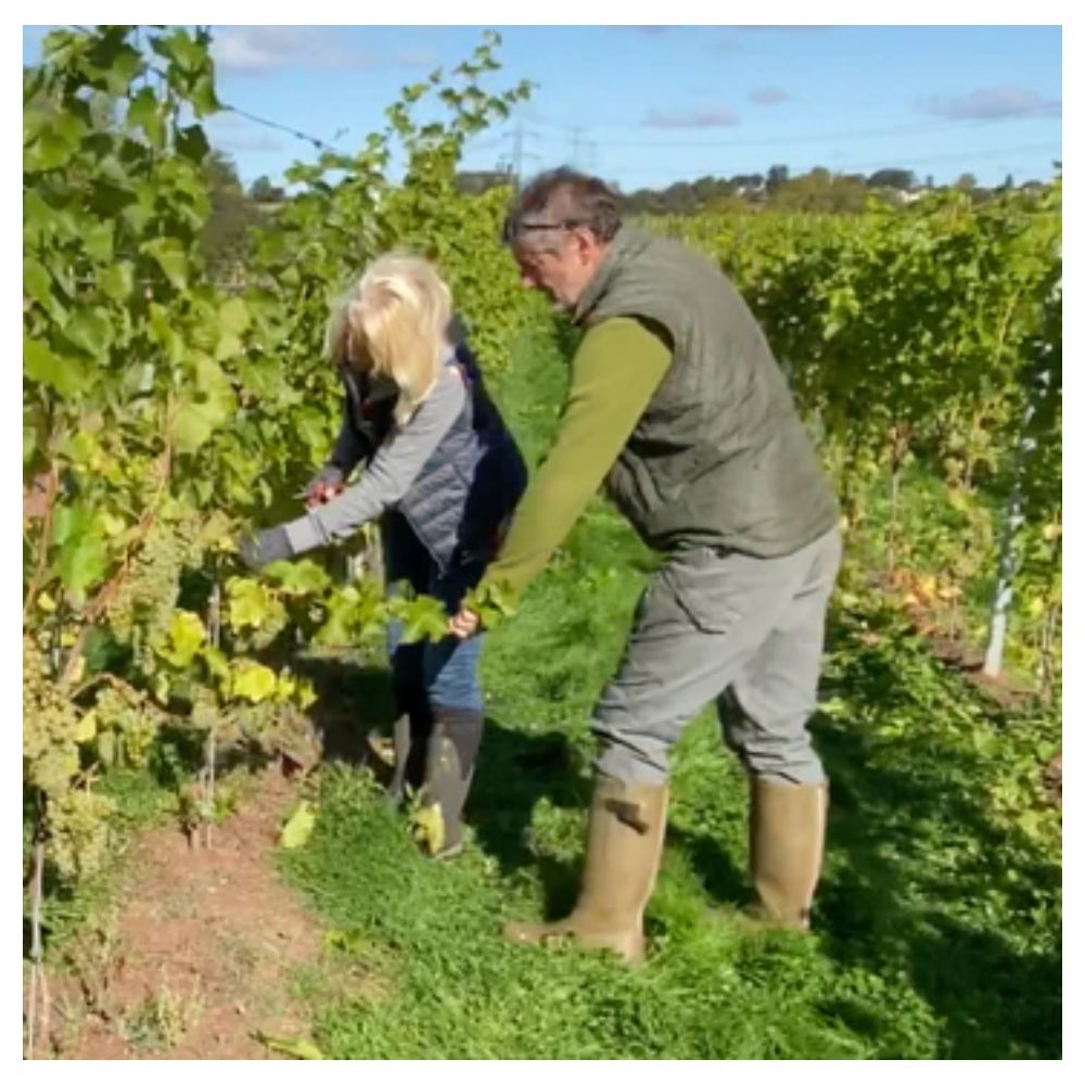 Table Talk &amp; Tasting - Jane &amp; Martin Wilcox of Pattingham - St Margarets 27th February