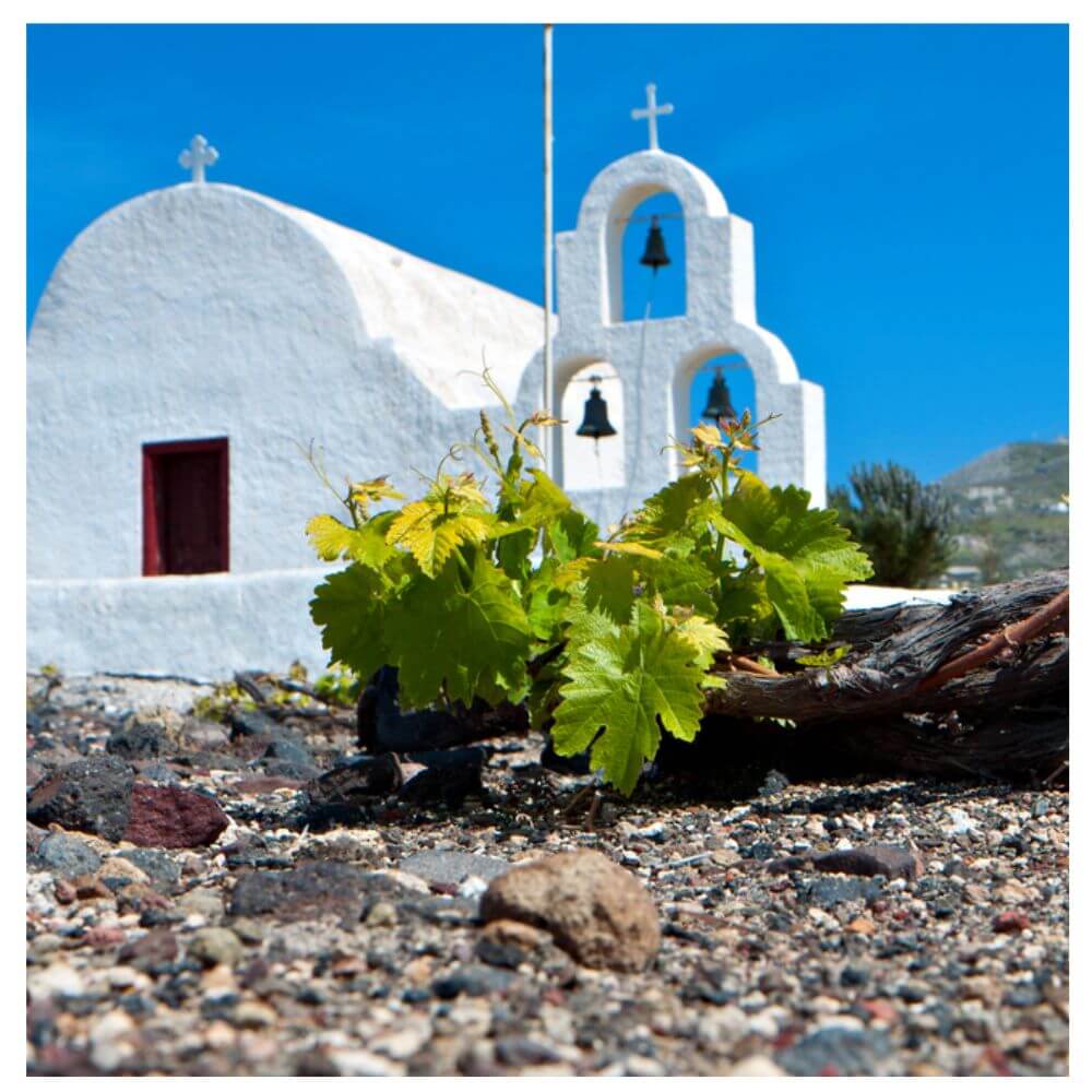 The Great Wines of Greece – St Margarets Wednesday 23rd April