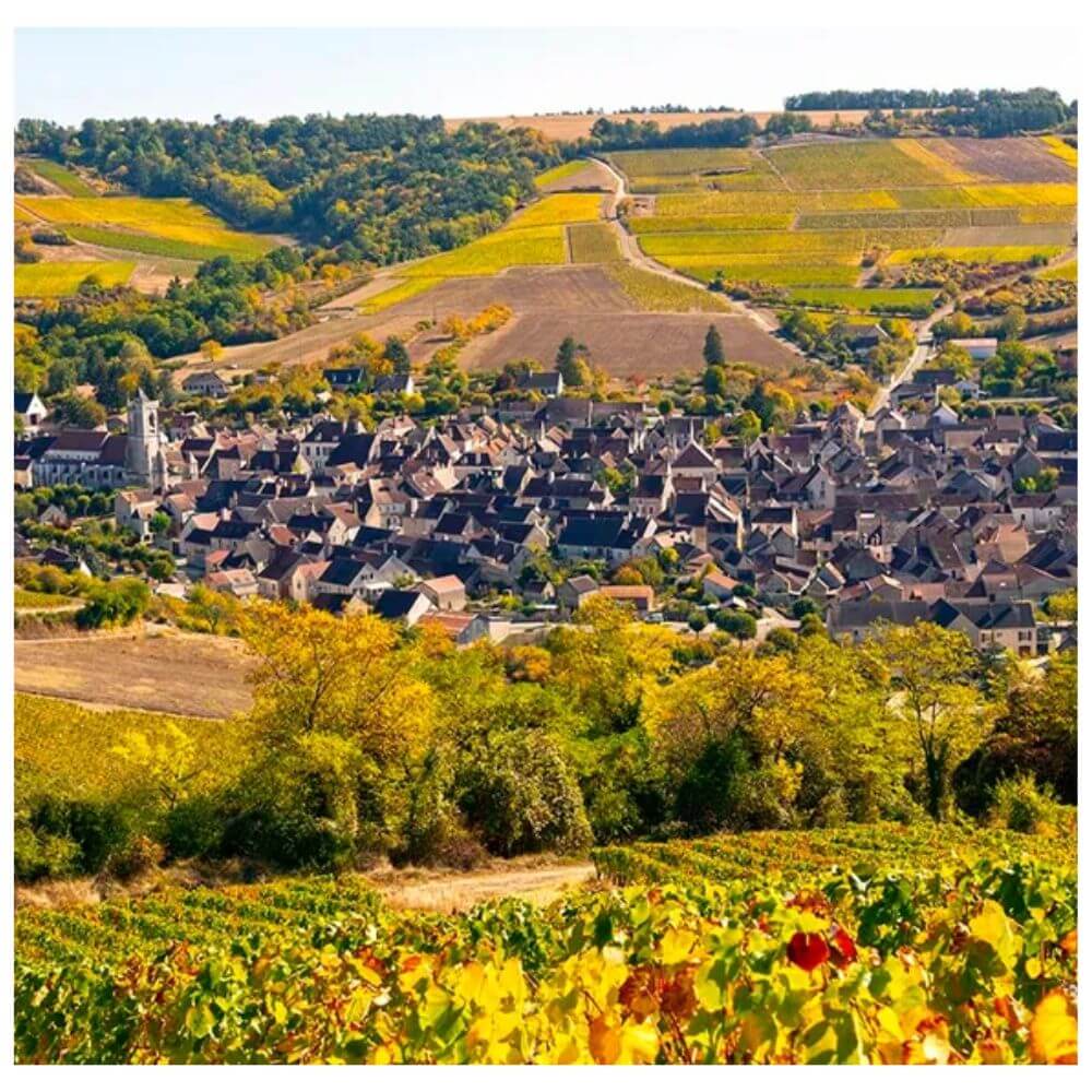 White Burgundy vs The World – St Margarets Thursday 14th November