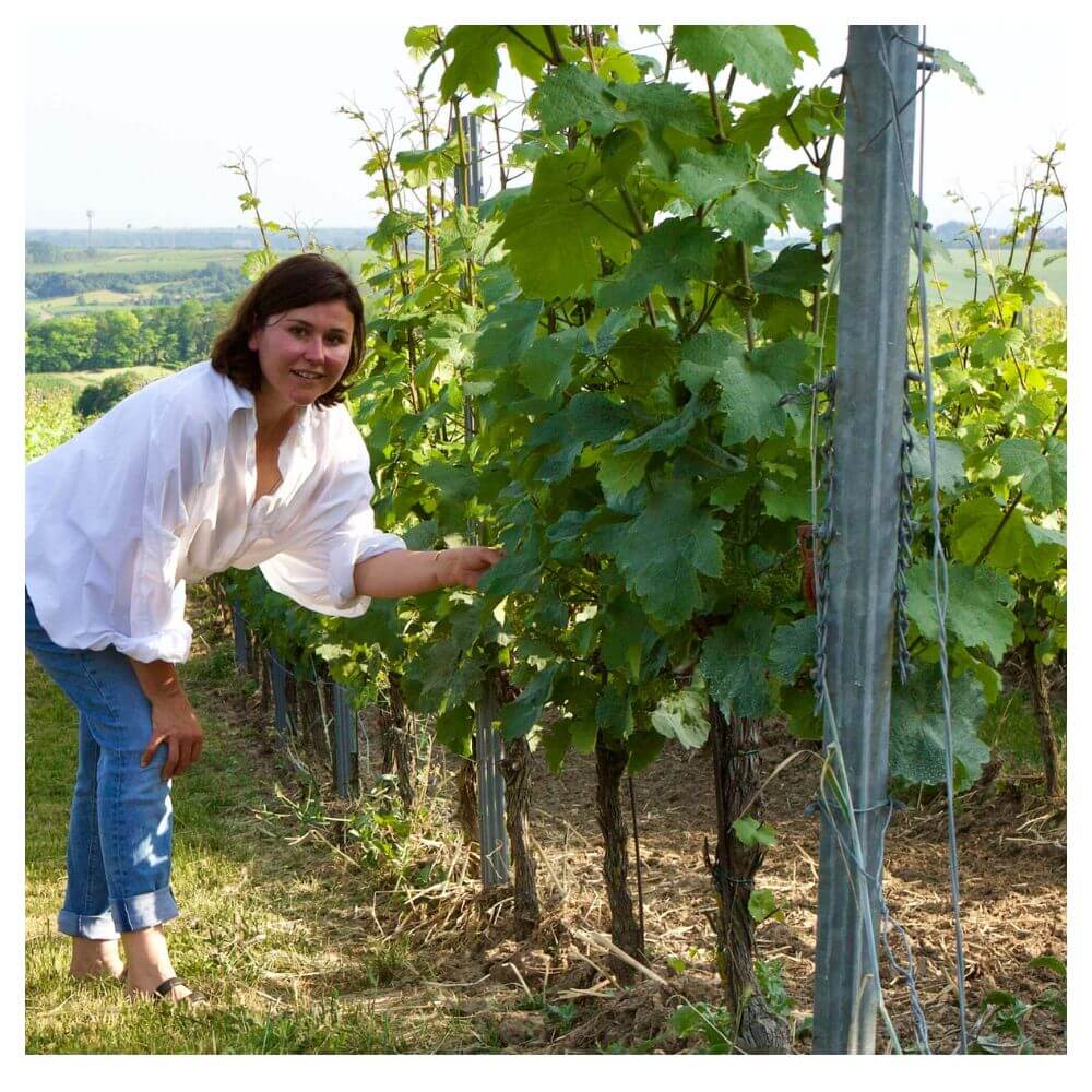 Women in Wine - Female producers - Teddington Thursday 6th March