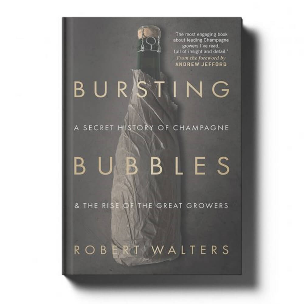 Book - Bursting Bubbles by Robert Walters