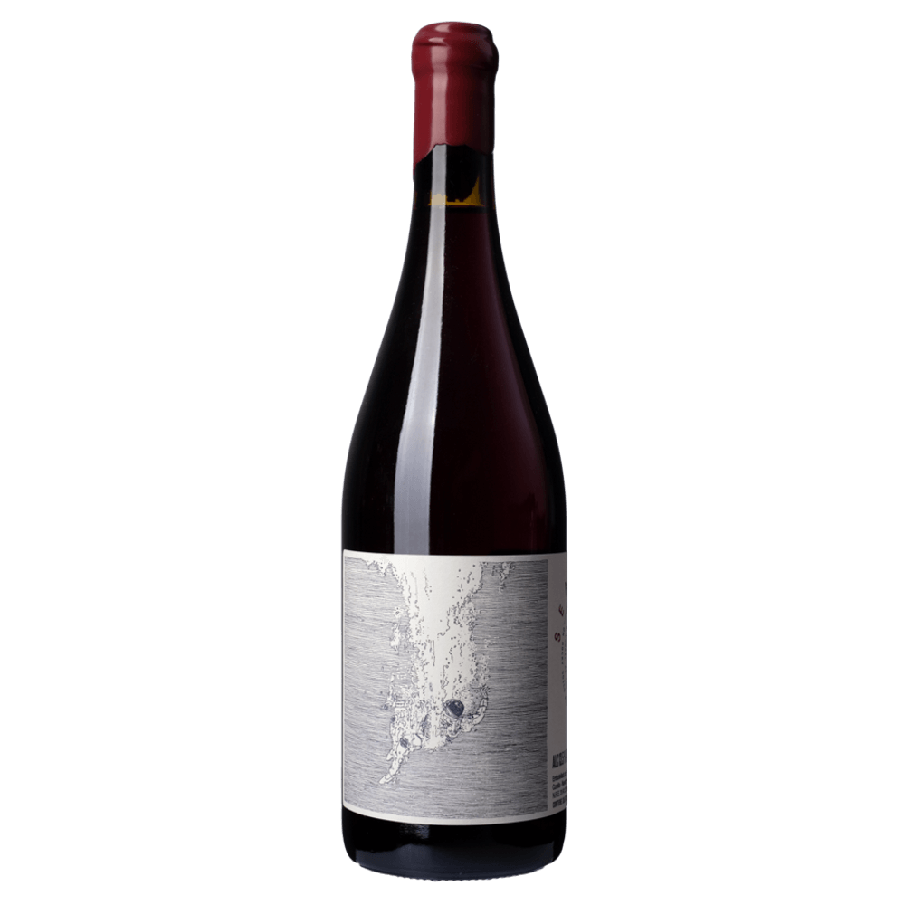 Vina Zorzal, Sea of Dreams Garnacha 2020